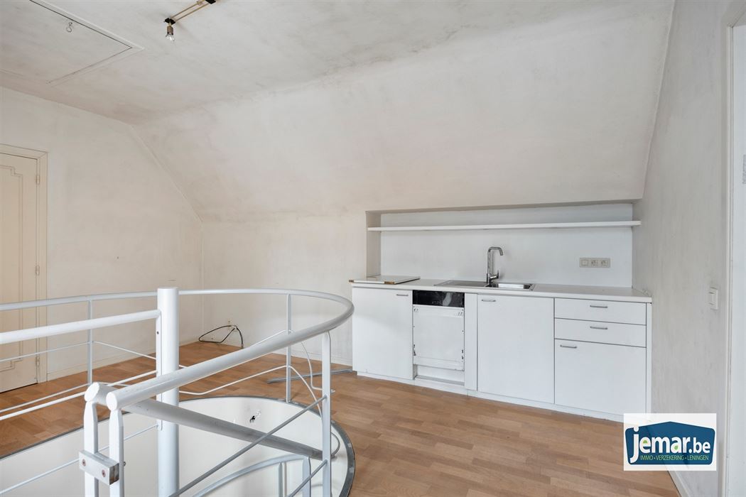 Villa met professionele opslagruimte, kelder en kantoorruimtes.