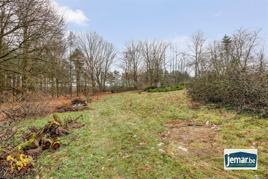 Villa met professionele opslagruimte, kelder en kantoorruimtes.
