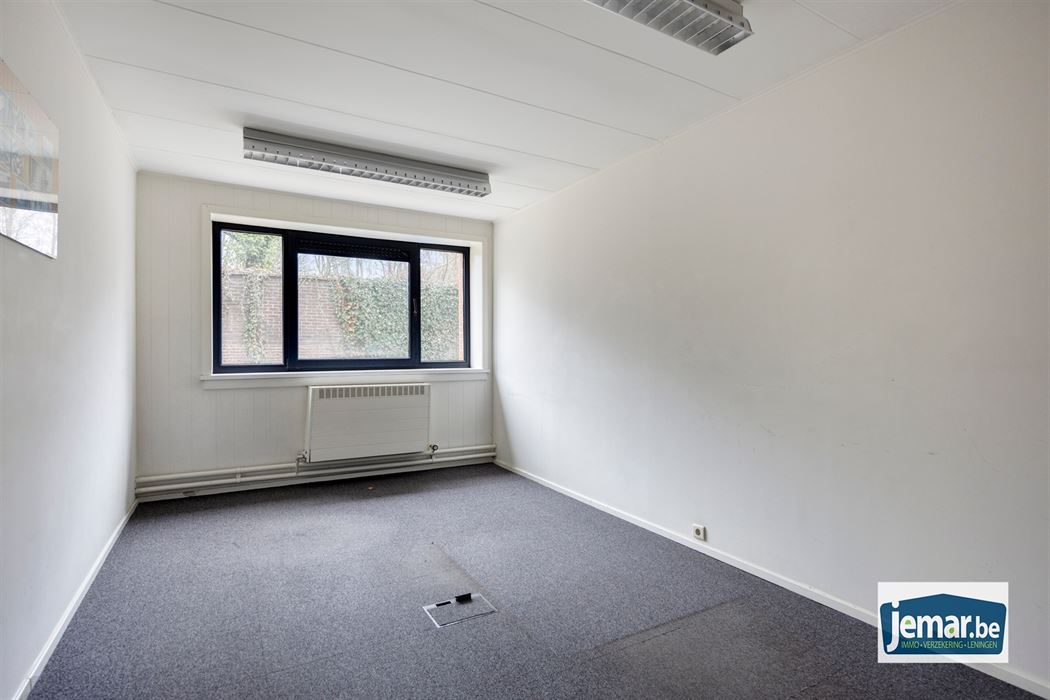 Villa met professionele opslagruimte, kelder en kantoorruimtes.