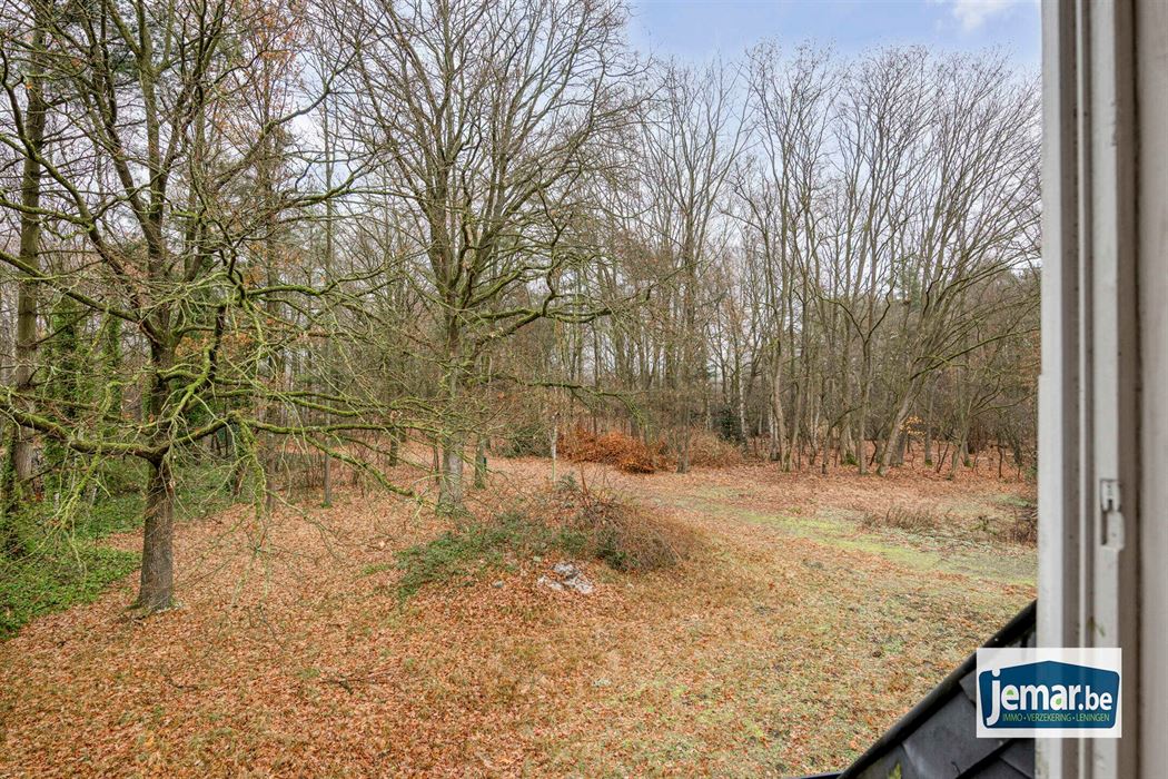 Villa met professionele opslagruimte, kelder en kantoorruimtes.
