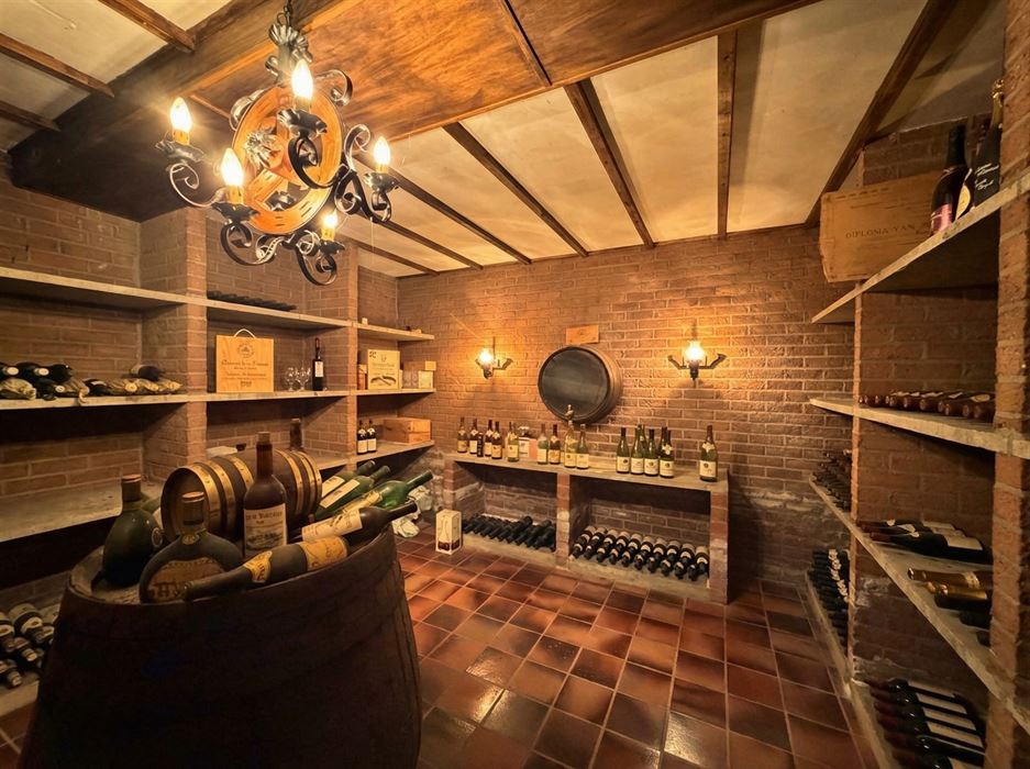 Zeer ruime villa (483 m²) op 16a48ca in Dilsen-Stokkem, goed onderhouden en vol potentieel om te transformeren tot uw hedendaagse droomwoning.