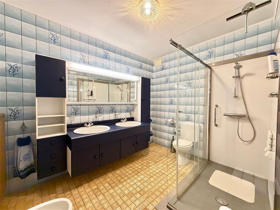 Zeer ruime villa (483 m²) op 16a48ca in Dilsen-Stokkem, goed onderhouden en vol potentieel om te transformeren tot uw hedendaagse droomwoning.