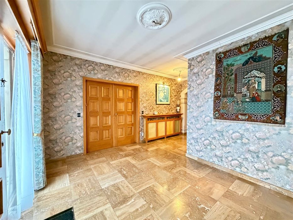 Zeer ruime villa (483 m²) op 16a48ca in Dilsen-Stokkem, goed onderhouden en vol potentieel om te transformeren tot uw hedendaagse droomwoning.