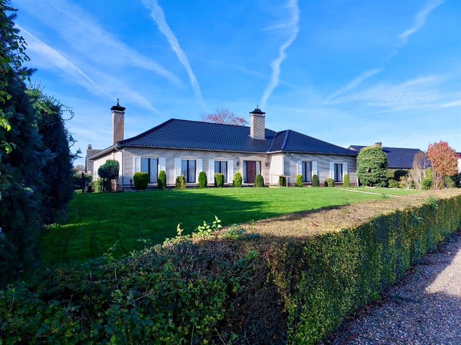 Zeer ruime villa (483 m²) op 16a48ca in Dilsen-Stokkem, goed onderhouden en vol potentieel om te transformeren tot uw hedendaagse droomwoning.