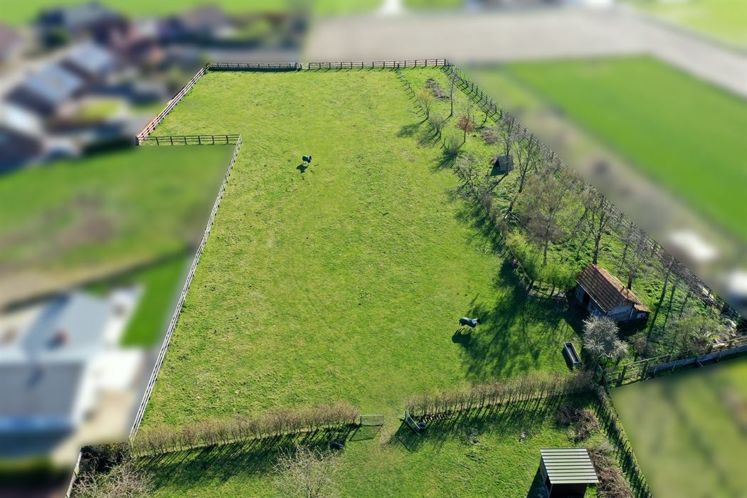 Hoeve met paardenaccomodatie.