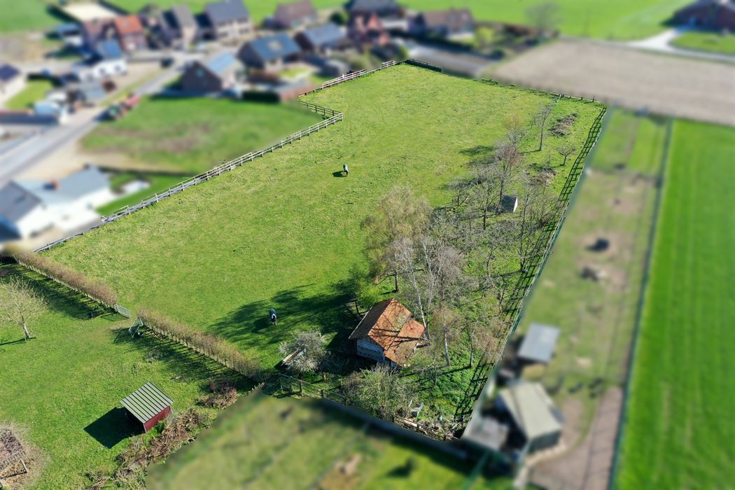 Hoeve met paardenaccomodatie.