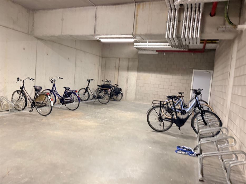 Gelijkvloers appartement met 3 slaapkamers
