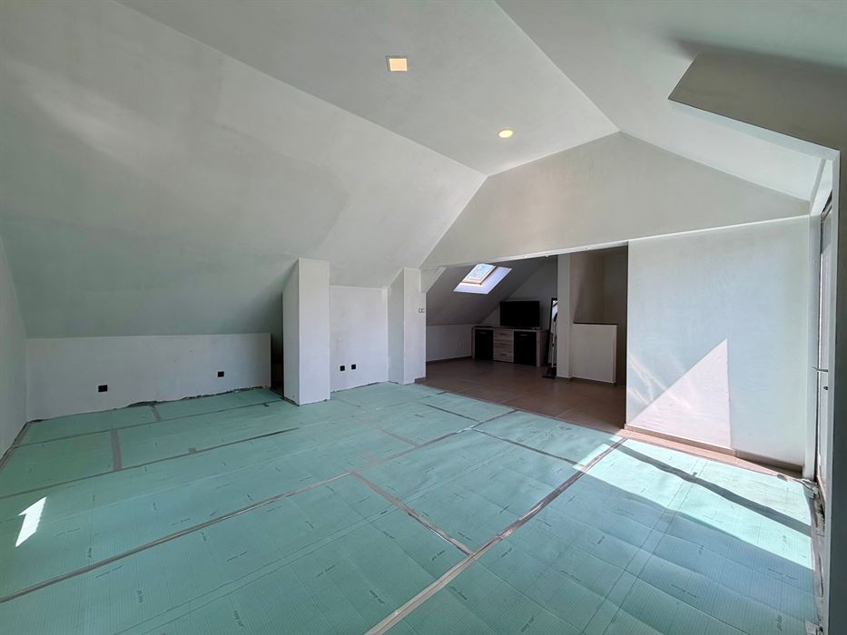 Woning met handelspand of projectgrond!