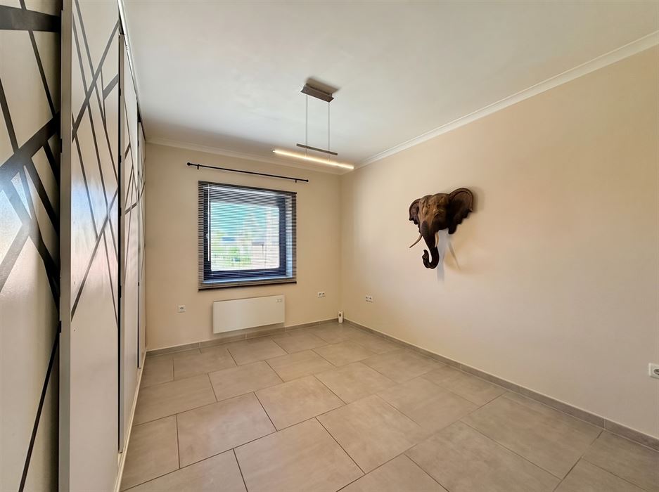 Woning met handelspand of projectgrond!