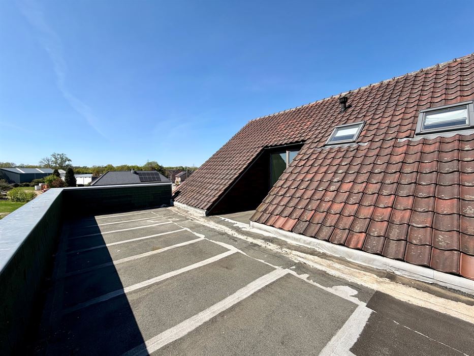 Woning met handelspand of projectgrond!