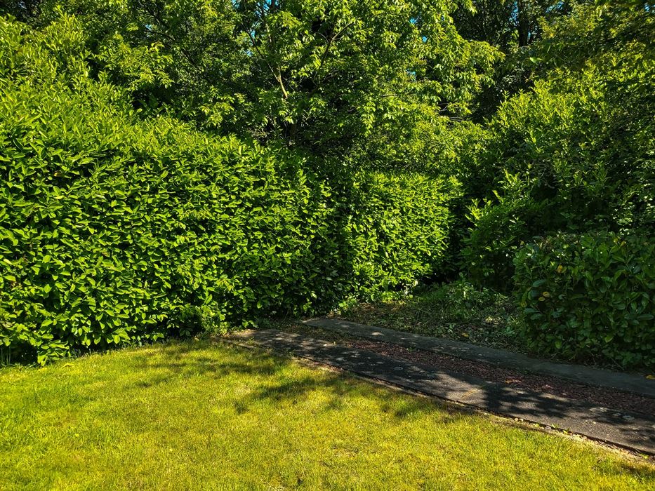Te renoveren woning met 3 slaapkamers, garage en tuin in Maasmechelen!