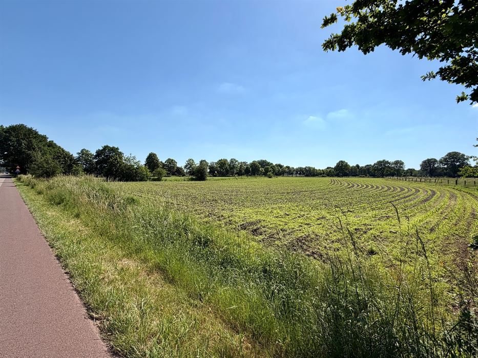 Vrijstaande woning op 25 are met uitzonderlijk renovatiepotentieel in het groen.