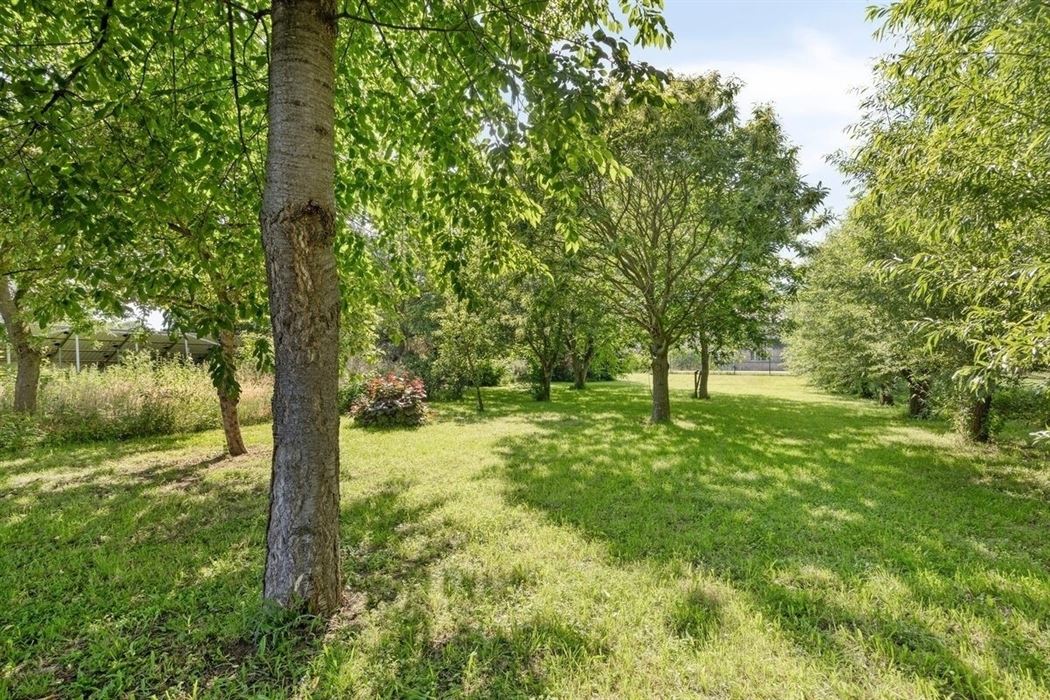 Instapklare villa met zwembad. Landelijke ligging in Leut.