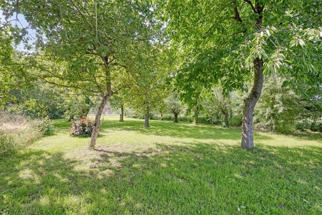 Instapklare villa met zwembad. Landelijke ligging in Leut.