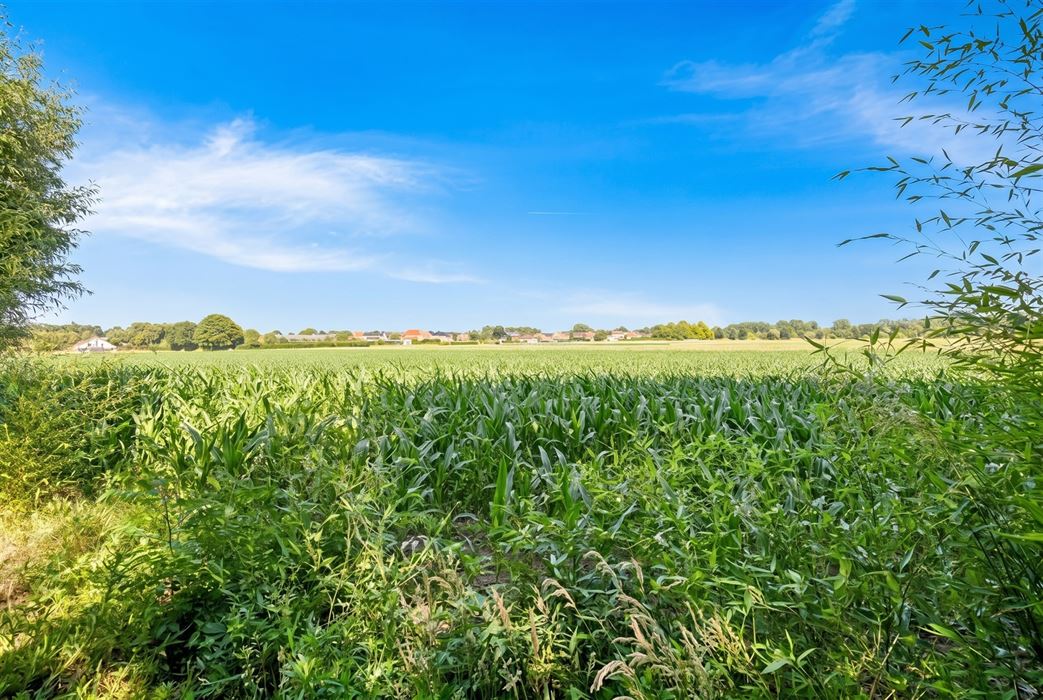 Instapklare villa met zwembad. Landelijke ligging in Leut.