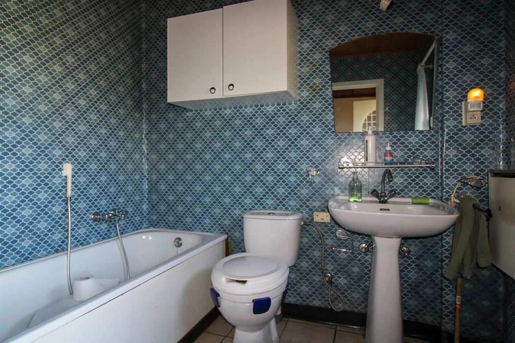 Te renoveren woning of interessante ontwikkelingsgrond in Opgrimbie!