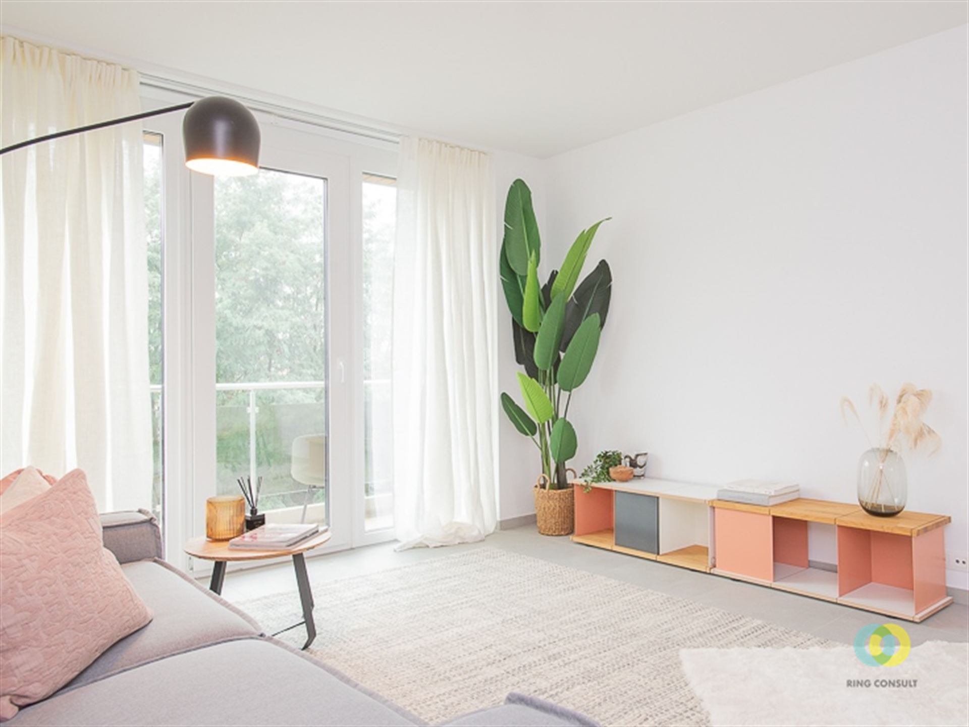rc-mariusduchestr-immow-3.jpg