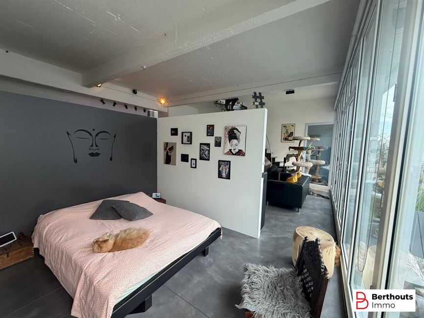 LOFT UNIQUE ET ENERGETIQUE