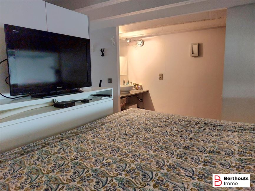 ENERGIEZUINIGE, UITZONDERLIJKE LOFT