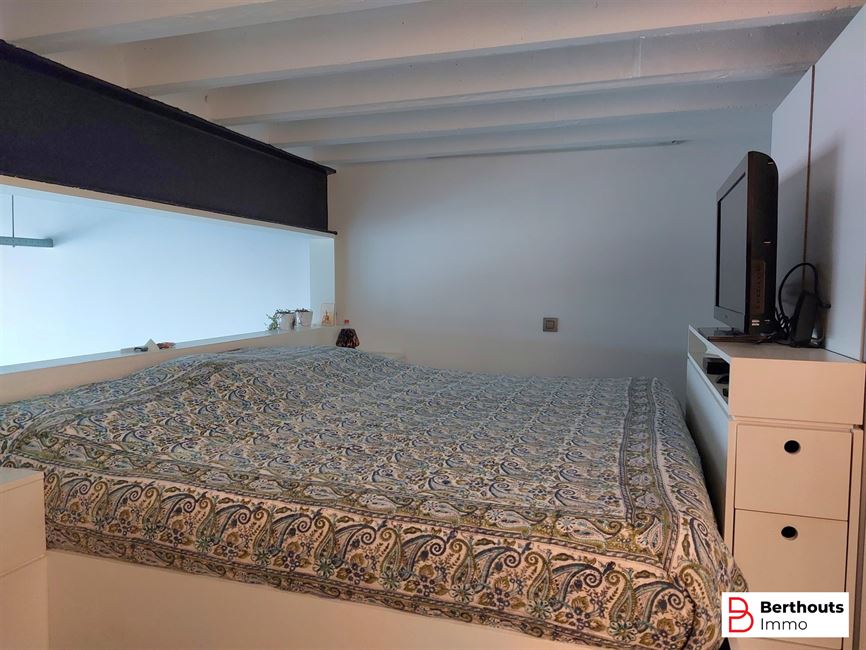 ENERGIEZUINIGE, UITZONDERLIJKE LOFT