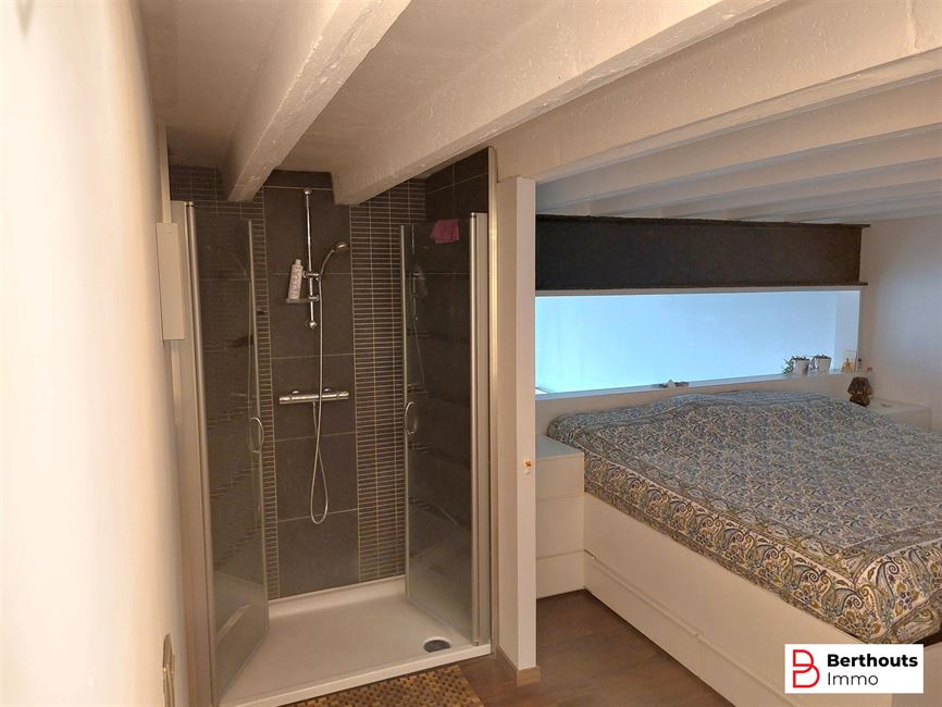 ENERGIEZUINIGE, UITZONDERLIJKE LOFT