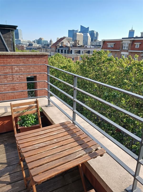 Ruim licht appartement met zicht op skyline van Brussel