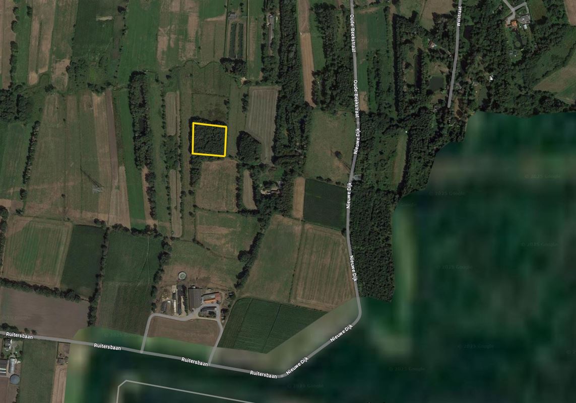 Ruitersbaan zn EKSEL