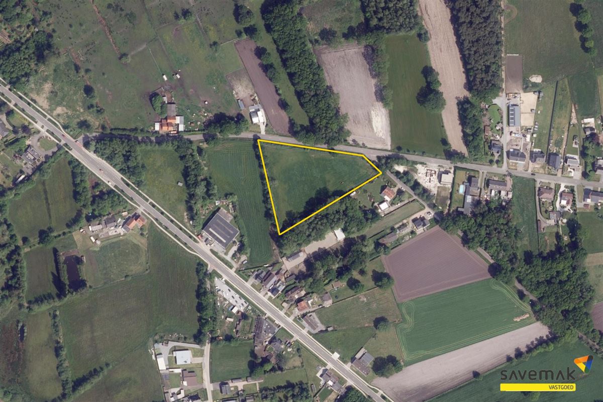 Schoorheide zn BALEN