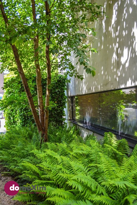 Architecturale woning met parking in het hart van Leuven