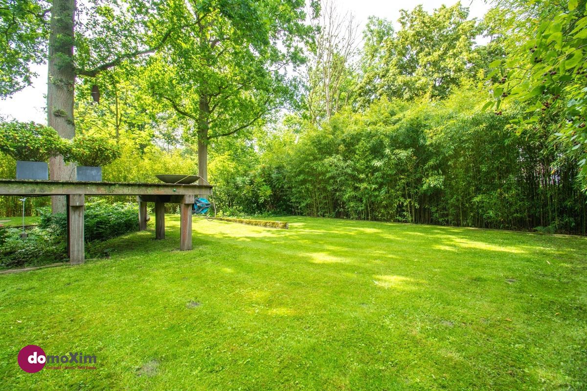 Architecturale parel in de Lievekensbossen in Schiplaken