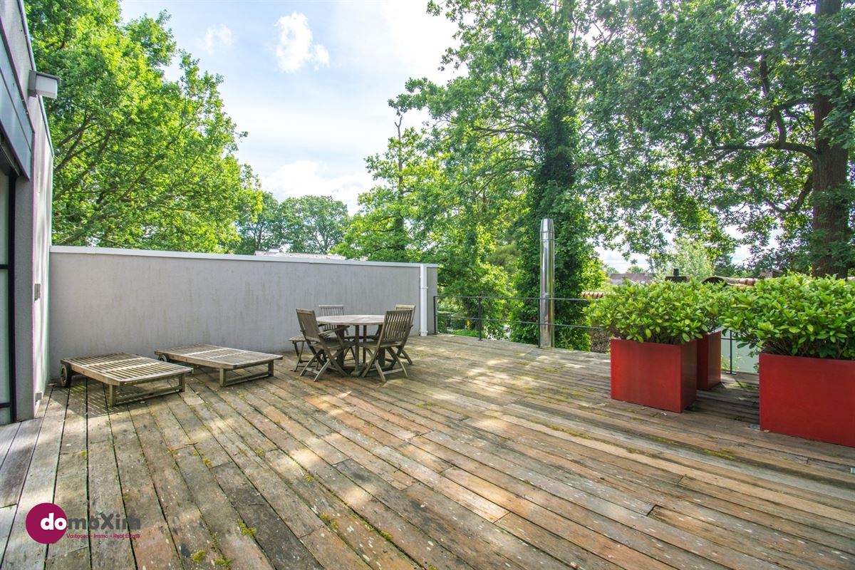 Architecturale parel in de Lievekensbossen in Schiplaken
