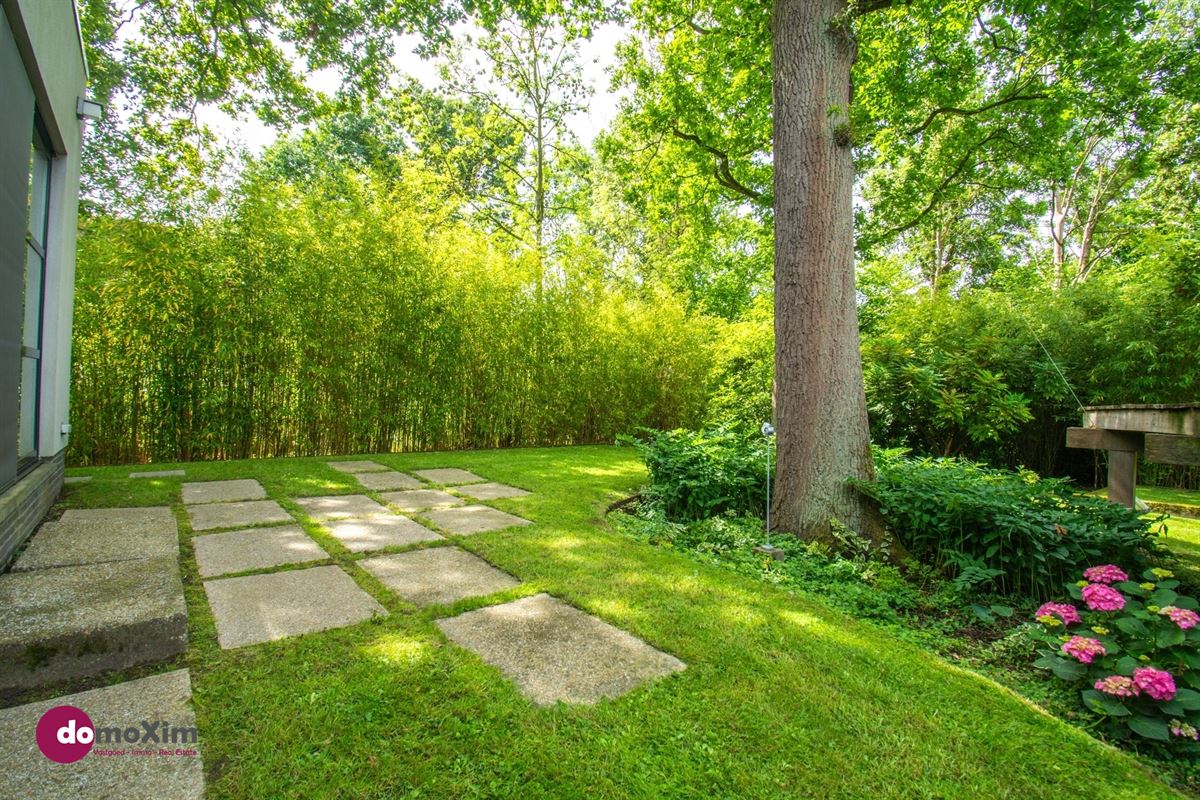 Architecturale parel in de Lievekensbossen in Schiplaken