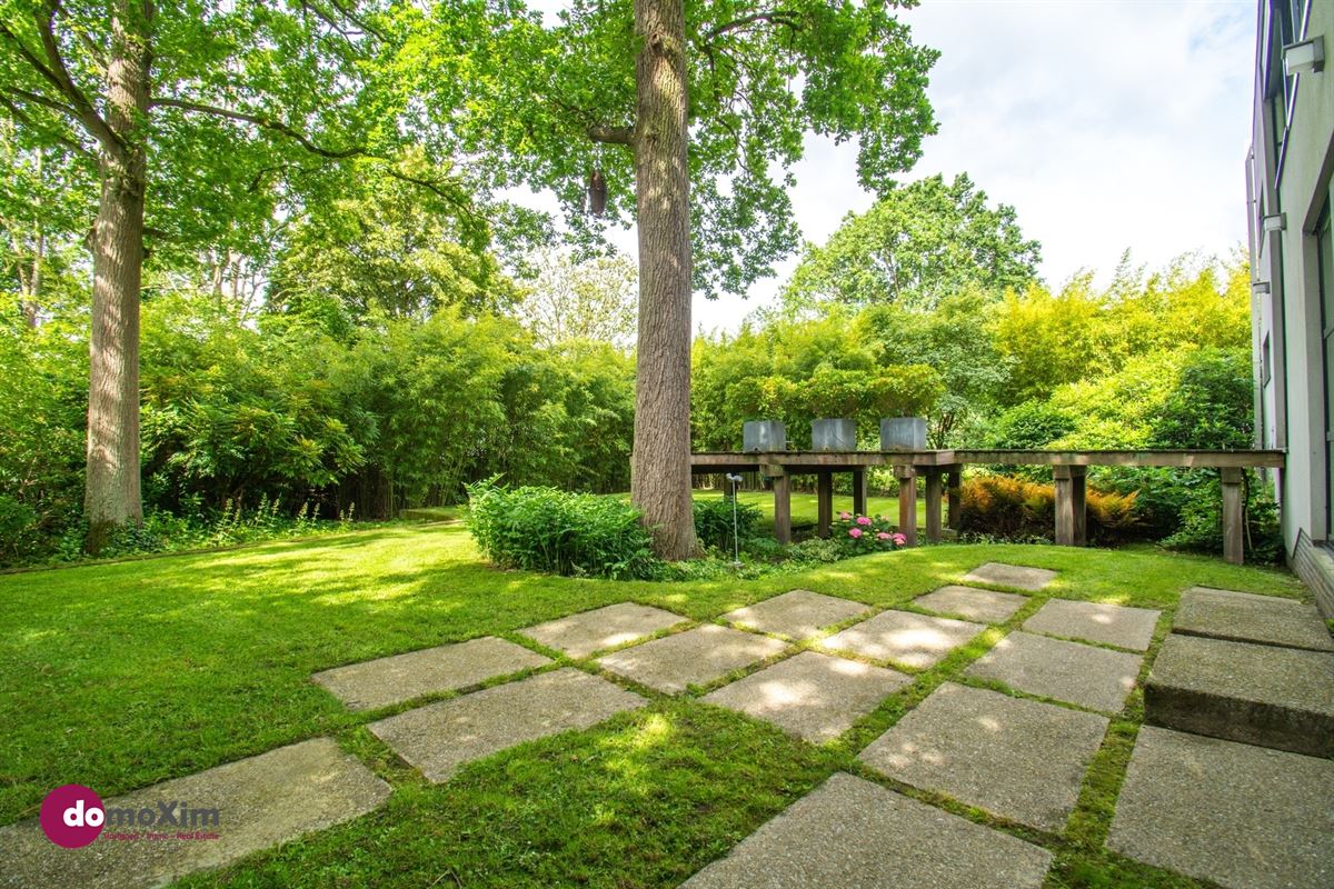 Architecturale parel in de Lievekensbossen in Schiplaken