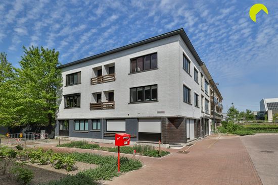Lichtrijk gerenoveerd appartement met ruime kelder!