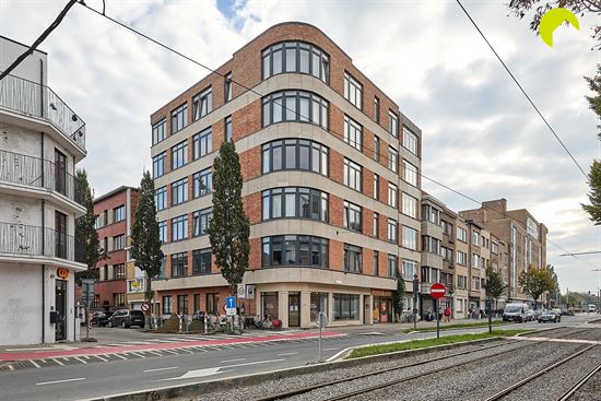 Charmant 1 slpk-appartement op toplocatie in Berchem