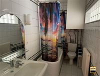 Appartement - TONGEREN-BORGLOON