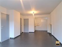 Appartement - TONGEREN-BORGLOON