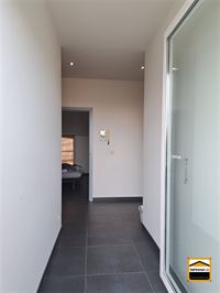Appartement - BORGLOON