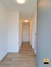 Appartement - BORGLOON