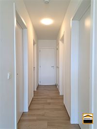 Appartement - BORGLOON