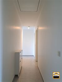 Appartement - BORGLOON