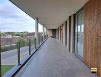 Appartement - BORGLOON