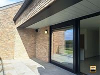 Appartement - BORGLOON