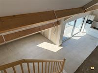 Appartement - BORGLOON