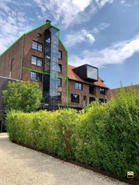 Unieke loft in voormalige brouwerij - BILZEN-HOESELT