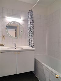 Appartement - TONGEREN-BORGLOON