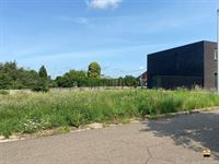 Bouwgrond - TONGEREN-BORGLOON