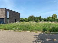 Bouwgrond - TONGEREN-BORGLOON