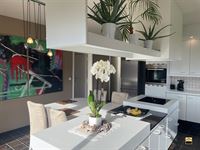 Villa - TONGEREN-BORGLOON