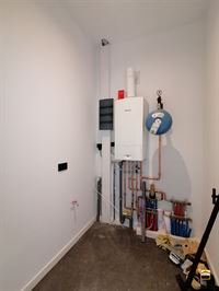 Appartement - TONGEREN-BORGLOON